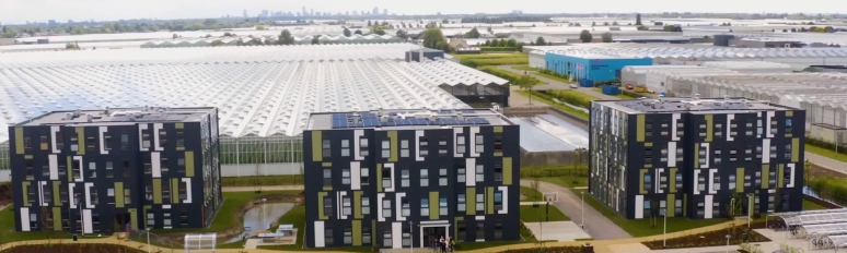 Bleiswijk